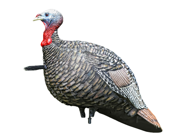 decoy