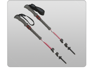 trekkingpoles