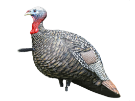 decoy Decoys
