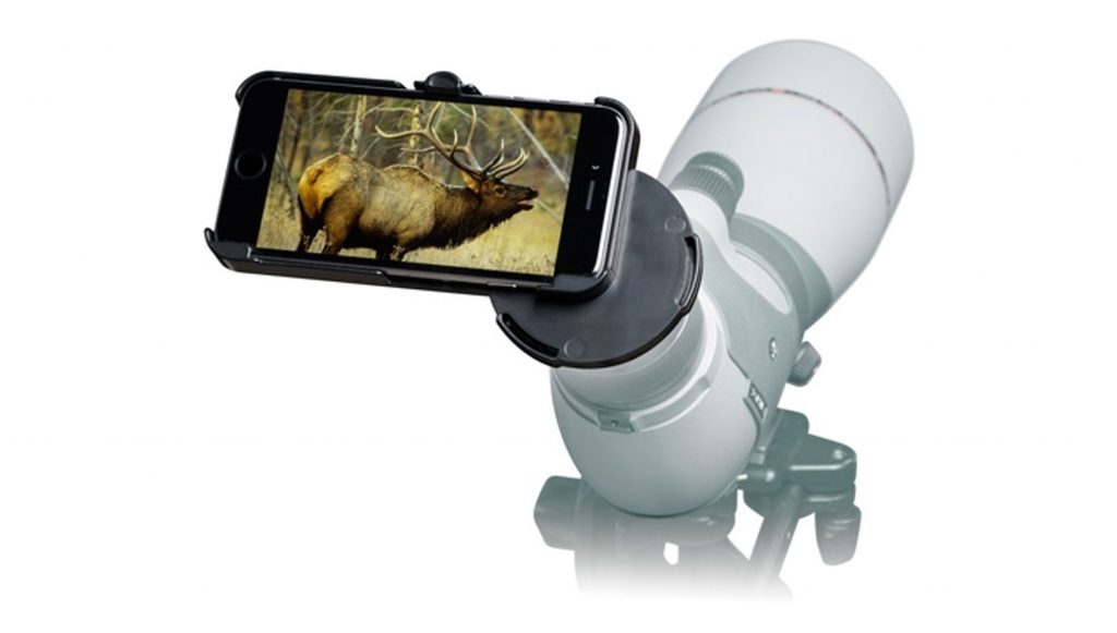 renting-digiscoping-gear-binoculars-spotting-scope_pic3