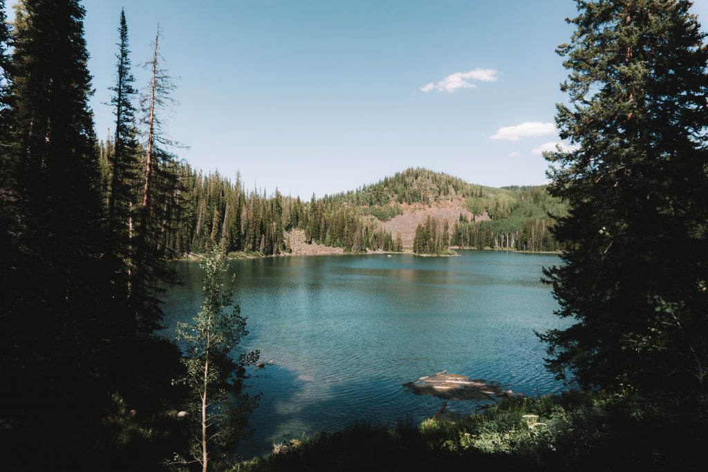 Hiking and Camping Emerald Lake Durango Colorado